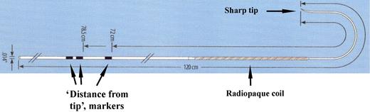 Diagram showing the structure of the Safe Sept J-shaped guidewire.