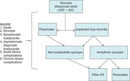 Algorithm summarizing the SPRITELY study. LVEF, left ventricular ejection fraction; MASRE, major adverse study related events; Rx, therapy.