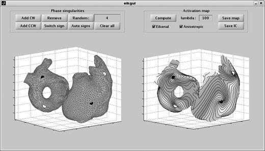 Graphic user interface in Matlab for the design of initial conditions. Black circles represent clockwise (CW) phase singularities and white circles counter-clockwise (CCW) phase singularities. Left panel: manual and random placement of phase singularities on the atrial surface. Right panel: computed activation map used for the creation of the initiation condition.
