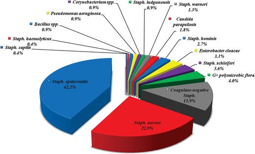Prevalence (in percentages) of the bacterial strains identified from culture examinations of the 293 leads extracted with infective indications.