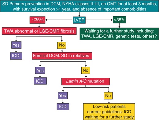 Sudden death (SD) primary prevention in DCM patients: a decision-making algorithm. OMT, optimal medical therapy; OMT may vary from patient to patient but should include both beta-blockers and angiotensin-converting enzyme inhibitors or angiotensin II-receptor blockers, at the highest tolerated dosage, and should last enough to improve and stabilize clinical status.14 Important comorbidities are age, diabetes, renal failure, advanced form of chronic pulmonary failure, dementia, neoplasia, cirrhosis, or stroke (in this population, short- and mid-term non-arrhythmic mortality could largely prevail, abolishing the ICD benefit). LVEF, left ventricular ejection fraction. TWA abnormal, microvolt T-wave alternans test, either positive or indeterminate. LGE-CMR fibrosis, late gadolinium enhancement-cardiac magnetic resonance midwall fibrosis.