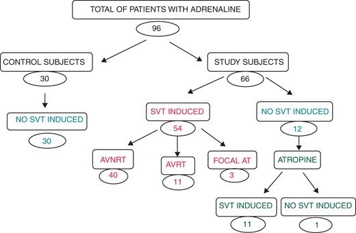 Effects of adrenaline in control subjects and in patients with documented SVT. SVT, supraventricular tachycardia; AVNRT, atrioventricular node reentrant tachycardia; AVRT=atrioventricular reentrant tachycardia using an accessory pathway as the retrograde limb; AT, atrial tachycardia.