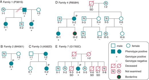 Pedigrees of the available families for CACNA1C mutations. Pedigrees of (A) P387S, (B) M456I, (C) A582D, (D) R858H, and (E) G1783C families. Squares indicate males; circles, females. Solid symbols depict phenotype positive and grey solid symbols depict borderline (QTc = 440−460 ms). +, genotype positive; −, negative. P marks indicate probands. N, not examined.