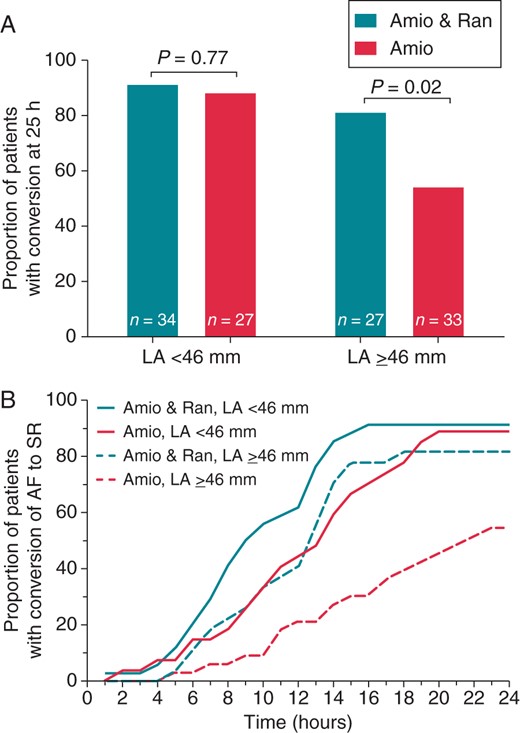 (A) Conversion rate of AF to SR at 24 h in patients stratified according to LA diameter by TTE < 46 mm (left) vs. ≥46 mm (right) and according to treatment with amiodarone plus ranolazine (Amio and Ran) vs. amiodarone alone (Amio). (B) Cumulative progression of conversion of AF in relation to LA diameter and treatment group. Note that the addition of ranolazine to amiodarone led to faster conversion, an effect that was particularly pronounced in patients with larger LA diameter. LA, left atrium.