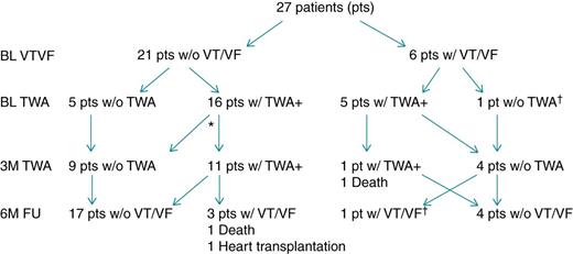 The number of patients with TWA test results, the VT/VF incidence and mortality at baseline, 3-month, and 6-month follow-up. *One patient without appropriate EGM at 3 months; †Same patient.