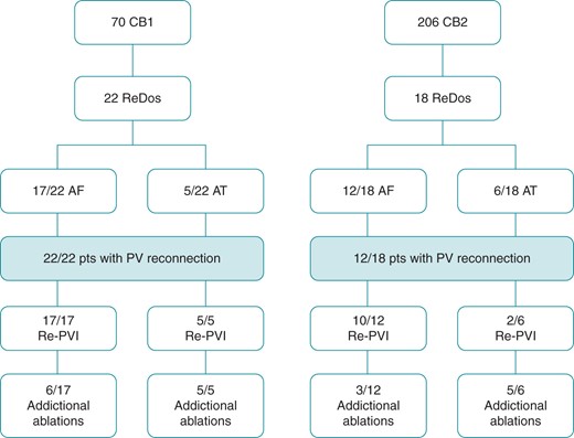 Flowchart displaying arrhythmia recurrence type and ablations performed in the second procedure.