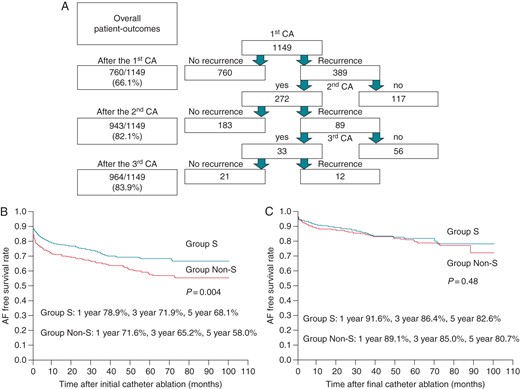 A ladder diagram of the CA sessions and outcomes (A), and the AF recurrence-free rate after the initial (B) and final CA session (C). The SR maintenance rate after the initial CA session in Group S was significantly higher than in Group Non-S (P = 0.004) during a mean follow-up period of 32.1 ± 24.2 months. In contrast, the SR maintenance rate after the final CA was similar between Group S and Group Non-S during a mean follow-up period of 38.0 ± 21.8 months; however, Group Non-S required significantly more frequent CA sessions than Group S (1.3 ± 0.5 vs. 1.2 ± 0.5, P = 0.03). CA, catheter ablation.