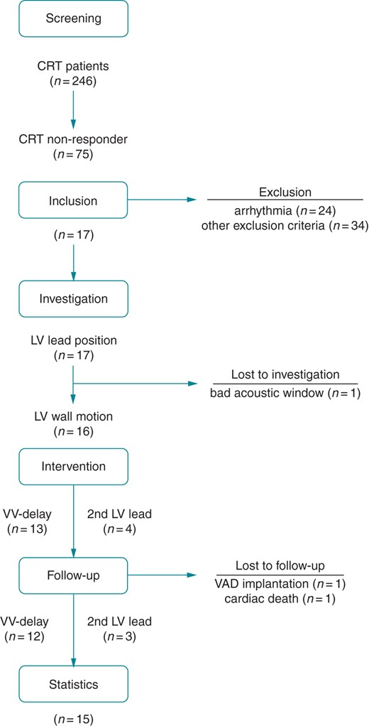 CONSORT statement. Flow chart of the study procedures. CRT, cardiac resynchronization therapy; LV, left ventricular; VV, interventricular; VAD, ventricular assist device.