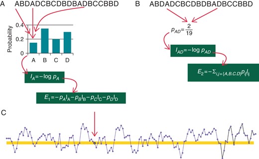 Schema of entropy in the HRV context. The quantity of information carried by an event is computed as the logarithm of its inverse probability: rare events (low probability) carry large informative contents. (A) A tachogram in which NN intervals was classified into four possible classes, labelled A–D. To compute the information carried by class A, the probability of the class is first estimated by an histogram. Then the (Shannon) entropy of the NN series is obtained as the average of the information provided by each NN class. The same can be done for any number m of consecutive NN interval classes (B for m=2). Entropy rate measures how much entropy changes from m to m+1, i.e. Em+1−Em. Approximate entropy and SampEn estimate the entropy rate of the NN series (C). Instead of building an histogram of NN durations, the number of intervals which do not differ more than r from a given NN interval (arrow) are counted (highlighted area in C).