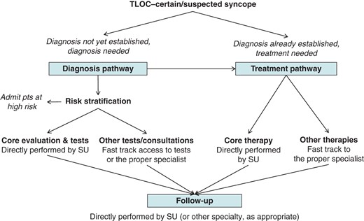 Framework for a comprehensive management of patients with T-LOC of certain/suspected syncopal nature referred to the SU. Core evaluation and therapy depend on each model of care delivery, with a minimum acceptable set described in Consensus Statement 1.