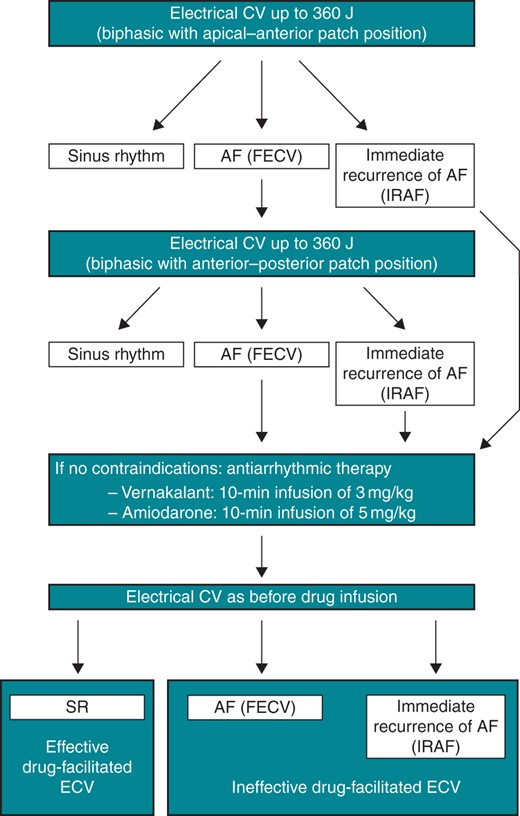 Algorithm for drug-facilitated electrical cardioversion. CV, cardioversion; SR, sinus rhythm; AF, atrial fibrillation; FECV, failed electrical cardioversion; IRAF, immediate recurrence of atrial fibrillation; J, Joules; ECV, electrical cardioversion.