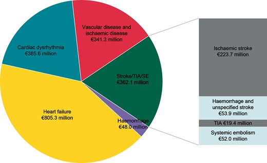 Distribution of cardiovascular hospitalization costs in AF patients in 2012 in France (€1.94 billion). AF, atrial fibrillation; SE, systemic embolism; TIA, transient ischaemic attack.