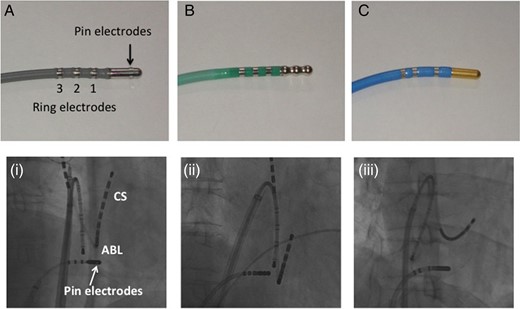 (A) An 8 mm tip catheter equipped with three pin electrodes (IntellaTip MiFi XP, Boston Scientific Corporation, Natick, MA, USA). (B) An 8 mm DS tip catheter (Ablaze). (C) An 8 mm tip cryothermal catheter (Freezor Max, Medtronic CryoCath LP). The radiography image demonstrates the ablation catheter placed on the CTI with the (i) ME catheter, (ii) DS catheter, and (iii) Cryo catheter.