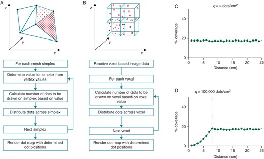 Dot mapping algorithm. (A) The dot mapping algorithm as applied to 3D surface shells. (B) The dot mapping algorithm as applied to 3D volumetric models. (C and D) Dot mapping algorithm performance for different values of q (see text for details). Distance (cm) represents the distance in the displayed scene between the surface of the cardiac chamber model and the user's viewpoint.