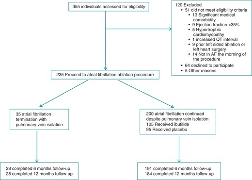 Patient flow diagram.