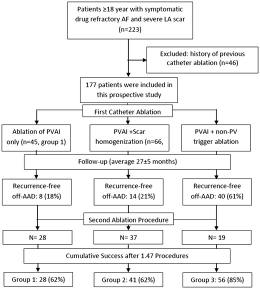 The flow-diagram showing the study design and outcomes after single and multiple ablation procedures.
