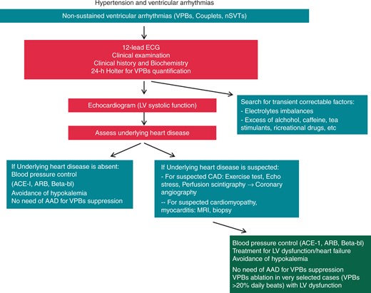 Proposal for a standardized ‘workup’. NB. Only in rare cases does myocardial biopsy change management, and the benefit: risk of this is low. Consider ICD implantation if LVEF ≤35% despite goal-directed medical therapy and sustained hypertension control. ACEI, angiotensin converting enzyme inhibitors; ARB, angiotensin II receptor blockers; CAD, coronary artery disease; LV, left ventricular; MRI, magnetic resonance imaging; nSVTs, no supraventricular tachycardia; VPBs, ventricular premature beats.