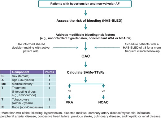 Proposed algorithm for antithrombotic management of patients with hypertension and non-valvular atrial fibrillation. ASA, Acetylsalicylic acid; NSAID, Non-steroidal anti-inflammatory drug; OAC, Oral anticoagulant; VKA, Vitamin K antagonist; NOAC, Non-vitamin K oral anticoagulant. SAMe-TT2R2, sex female, age, 60 years, medical history (more than two comorbidities), treatment (interacting drugs, e.g. amiodarone for rhythm control), tobacco use (doubled), race (doubled); TTR, time in therapeutic range.