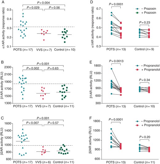 Effects of serum IgG (0.1 mg/mL) from POTS and VVS patients and healthy control subjects on direct activation of α1AR, β1AR, and β2AR in cell-based bioassays. The α1AR activity is expressed as the FRET blue/green response ratio, and the β1/2AR activity is expressed as RLU. There was a significant increase in α1AR (A), β1AR (B), and β2AR (C) activity in the POTS group compared with the VVS and control groups. The addition of the α1 blocker prazosin (10 µM) or non-selective β-blocker propranolol (1 µM), respectively, suppressed the α1AR (D), β1AR (E), and β2AR (F) activity values to control levels. The dashed line is the threshold derived from the mean activity values + 2SD of the healthy controls.