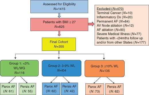 Patient selection. Consort diagram of the patient selection. AF, atrial fibrillation; AV, atrioventricular; BMI, body mass index; mths, months; Parox, paroxysmal; Persis, persistent; WG, weight gain; WL, weight loss.