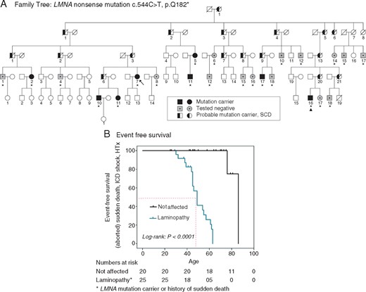 Family tree. DNA of 23 family members was analysed (indicated with an asterisk (*)): 8 mutation-carriers (35%; filled symbols) and 15 healthy individuals (65%; striated symbols with a dot) were identified. Furthermore, we identified 17 (already deceased) putative carriers (half-filled symbols). The index patient is marked with an arrow (→), the recipient of heart transplantation is marked with a triangle (▲). In four generations (n = 65), 17 SCDs occurred. SCD, sudden cardiac death.