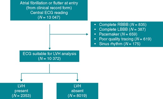Flow diagram of the study. ECG, electrocardiography; LBBB, left bundle branch block; LVH, left ventricular hypertrophy; RBBB, right bundle branch block.