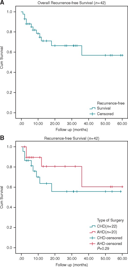 The Kaplan–Meier curve of scar-related atrial flutter patients with acute success. (A) Overall recurrence-free survival of all the patients. (B) Recurrence-free survival of AHD and CHD groups. AHD, acquired heart disease; CHD, congenital heart disease.