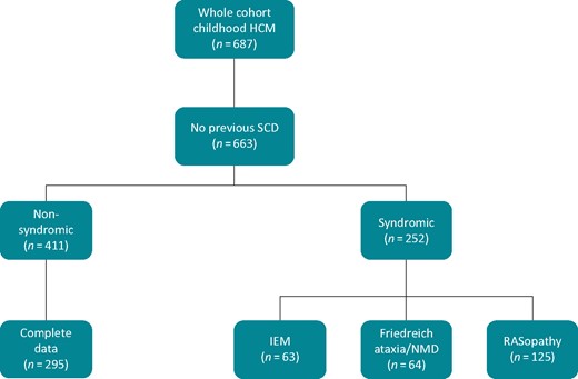 Flow chart showing aetiology of HCM in whole cohort. HCM, hypertrophic cardiomyopathy; IEM, inborn error of metabolism; NMD, neuromuscular disorder; SCD, sudden cardiac death.