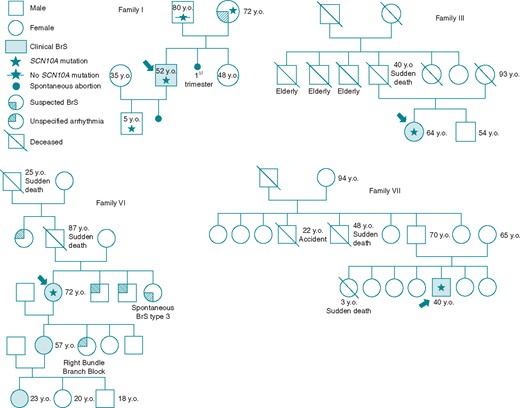 Family pedigrees. Family pedigrees corresponding to Probands I, III, VI, and VII are shown. Probands identified with arrow. Star: molecularly confirmed SCN10A mutation; Star with slash: genetic test for SCN10A mutation performed but negative. BrS, Brugada syndrome; y.o., years old at diagnosis.