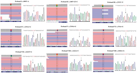 SCN10A variants identified in Brugada syndrome patients. Nine different SCN10A variants have been identified using the Next Generation Sequencing (NGS) approach and confirmed by Sanger sequencing. On the left of each panel, NGS paired-end reads loaded in the IGV genome browser. SCN10A gene is in the reverse orientation on the chromosome, as highlighted in the BAM file. On the right, Sanger sequencing electropherograms are reported. The arrows indicate the position of the single nucleotide variation in the SCN10A gene.