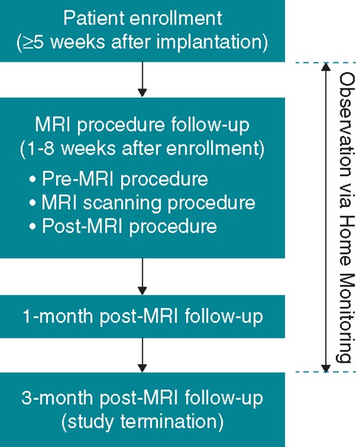 Flow chart of the study. MRI, magnetic resonance imaging.