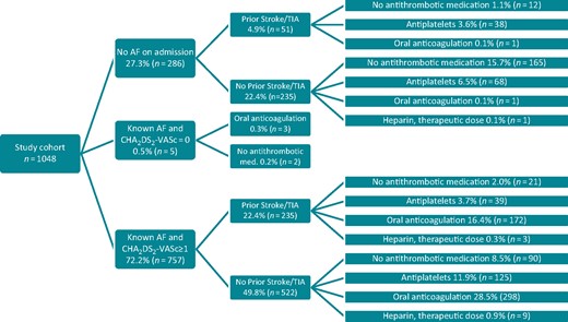 Antithrombotic medication on admission according to AF status and CHA2DS2-VASc score before admission for acute ischaemic stroke in 1048 patients with AF. AF, atrial fibrillation; TIA, transient ischaemic attack.