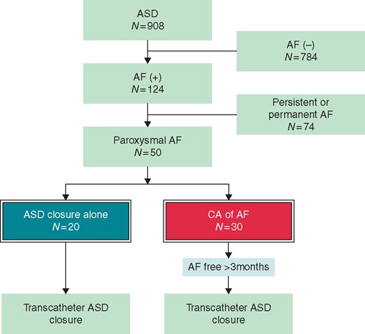 Flowchart for selection of study patients. AF, atrial fibrillation; ASD, atrial septal defect; CA, catheter ablation.