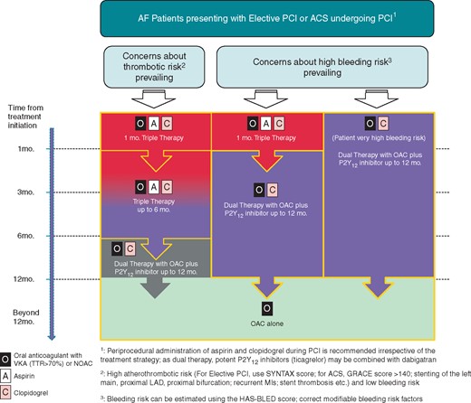 Management algorithm for AF patients presenting with elective PCI or ACS undergoing PCI.