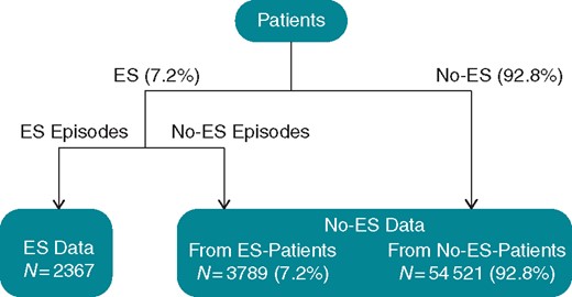 Schematic of the dataset generation. ES, electrical storm.