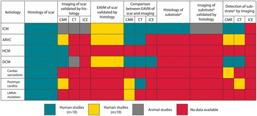 Overview of the available evidence on invasive and non-invasive methods of scar delineation in different aetiologies related to monomorphic sustained tachycardia. aAs determined by conventional methods (e.g. activation mapping, entrainment mapping, termination sites). ARVC, arrhythmogenic right ventricular cardiomyopathy; CMR, cardiac magnetic resonance; CT, computed tomography; DCM, dilated cardiomyopathy; EAVM, electroanatomical voltage mapping; HCM, hypertrophic cardiomyopathy; ICE, intracardiac echocardiography; ICM, ischaemic cardiomyopathy.