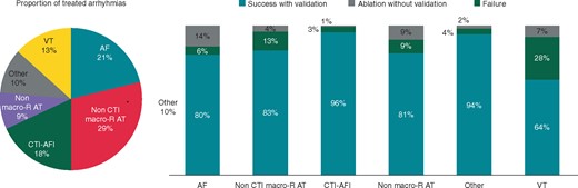 Arrhythmia proportions and success per group. AF, atrial fibrillation; AT, atrial tachycardia; CTI, cavo-tricuspid isthmus; macro-R, macro-reentrant; Other, other supraventricular tachycardias or accessory pathways; VT, ventricular tachycardia.