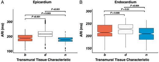 Box and whisker plot of epicardial (A) and endocardial (B) ARI in relation to the tissue voltage characteristic. Tissue characteristic is denoted on the x-axis. Statistical significance between box plots is shown above the plots. ARI, activation recovery interval; b, scar borderzone; d, dense scar; n, normal tissue.