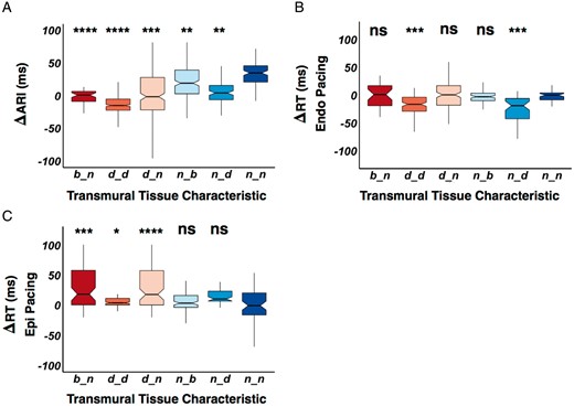 (A) Box and whisker plot displaying paired endocardial and epicardial scar pattern, and their association to endocardial subtracted by epicardial ARI (ΔARI), endocardial subtracted by epicardial RT (ΔRT) during endocardial pacing (B) and epicardial pacing (C). Scar tissue characteristic is denoted on the x-axis, the first letter is the characteristic of the endocardium and the second letter is the characteristic of the epicardium. Statistical significance is assessed as a comparison against normal endocardial and epicardial tissue (n_n), with statistical significance denoted above the boxplot. *P < 0.05, **P < 0.01, ***P < 0.001, ****P < 0.0001. ARI, activation recovery interval; b, scar borderzone; d, dense scar; n, normal tissue; NS, non-significant; RT, repolarization time.