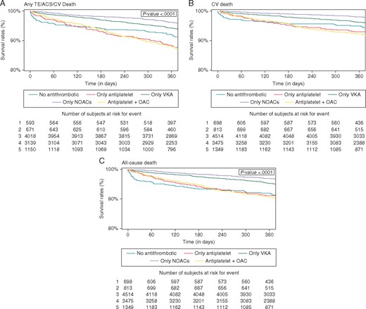Kaplan–Meier curves for major adverse clinical events according to antithrombotic therapy at baseline discharge. ACS, acute coronary syndrome; AF, atrial fibrillation; CV, cardiovascular; NOACs, non-vitamin K antagonist oral anticoagulants; OAC, oral anticoagulation; TE, thromboembolism; VKA, vitamin K antagonist.