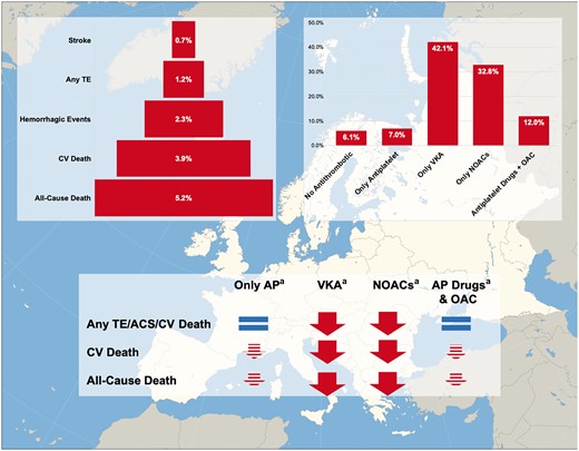 EORP-AF General Long-Term follow-up. aThe logical signs are intended as expressing the association between antithrombotic therapies and risk of outcomes occurrence and do not imply a causative link. AP, antiplatelet; CV, cardiovascular; NOACs, non-vitamin K antagonist oral anticoagulants; OAC, oral anticoagulation; TE, thromboembolism; VKA, vitamin K antagonist.