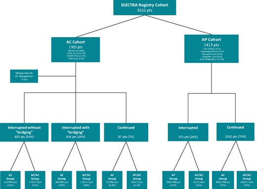 ELECTRa registry patient flow diagram presenting the proportion of patients of the total enrolled patient cohort of the registry under chronic anticoagulation (AC) and antiplatelet (AP) therapy. Details are provided on the AC and AP agent chronically prescribed as well as the pre-operative strategies. ASA, acetyl salicylic acid; DOAC, direct oral anticoagulants; LMWH, low-molecular weight heparin; VKA, vitamin K antagonist.