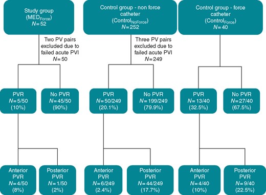 PVR outcomes. This flowchart details PVR rates and sites of reconnection in patients with and without MED. MED, mechanical oesophageal deviation; PVR, pulmonary vein reconnection.