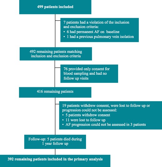 A flowchart of all patients included in the AF-RISK study. Primary analyses included 392 patients. AF, atrial fibrillation.