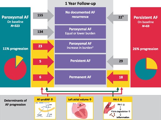 Change in type of AF from baseline to 1 year. Red arrows and numbers represent patients with AF progression and grey arrows and numbers represent patients without AF progression. aIncrease in AF burden was defined according to the AF progression definition: a doubling in AF burden at one year with at least an AF burden of 10%. bAll patients with persistent AF underwent a cardioversion at baseline. AF, atrial fibrillation; LA, left atrium; NT-proBNP, N-terminal pro-B-type natriuretic peptide; PAI-1, plasminogen activator inhibitor.