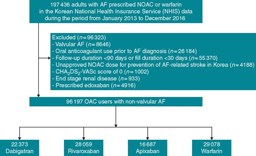 A flowchart of study population enrolment and analyses. AF, atrial fibrillation; NOAC, non-vitamin K antagonist oral anticoagulant; OAC, oral anticoagulant.