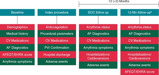 Study design. aIn-hospital or by phone. AF, atrial fibrillation; AFEQT, Atrial Fibrillation Effect on QualitTy-of-Life; CV, cardiovascular; EHRA, European Heart Rhythm Association; Mo, month; PVI, pulmonary vein isolation; SOC, standard of care.