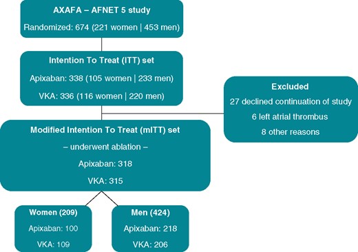 Flowchart of the AXAFA-AFNET 5 study. The current analysis focused on the patients who underwent ablation, the mITT set. mITT, modified intention to treat; VKA, vitamin K antagonist.