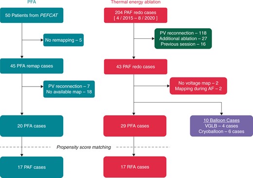 Patient selection flow chart. AF, atrial fibrillation; PAF, paroxysmal atrial fibrillation; PFA, pulsed field ablation; PV, pulmonary vein; RFA, radiofrequency ablation; VGLB, visually guided laser balloon.