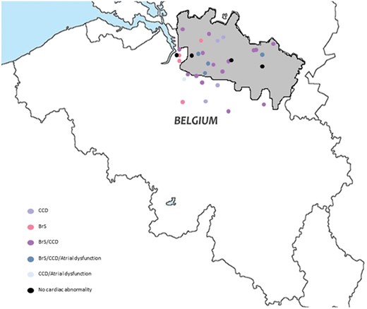Map of residencies of the founder mutation families. Map of Belgium with Campine region in grey. Dots: residence of founder mutation families. The colour corresponds to the main diagnosis in the families.
